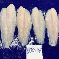 Fish Fillet