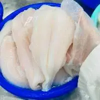 Pangasius hypophthalmus