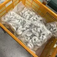 Frozen Shrimp