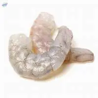 Frozen Vannamei Prawns