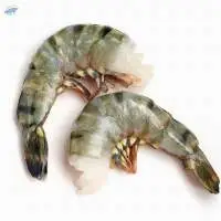 Black Tiger shrimp