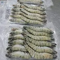 Black Tiger shrimp