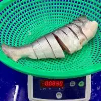 Basa Fillet