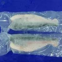Basa HGT