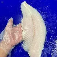 Pangasius Well-Trimmed Fillet