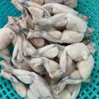 Vietnam Frog