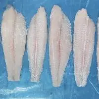 Basa Fillet