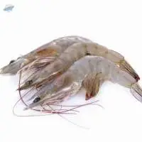 Vannamei Prawn