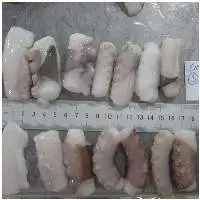 Frozen Cut Poulp Squid