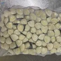Frozen Whole Cooked Clam