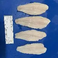 Frozen Pangasius Well Trimmed