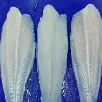 Pangasius Fillet Well Trimmed