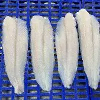 Basa Fillet
