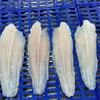 Basa Fillet