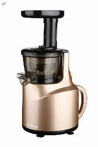 Electric Fruit Juicer