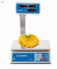 Electronic Digital Scale