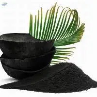 Coconut Charcoal Powder