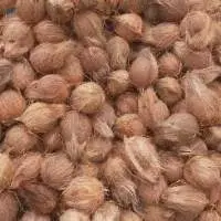 Semi Husked Coconut