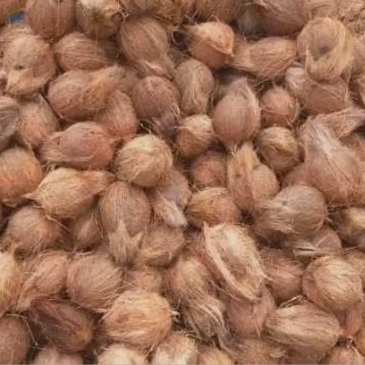 Semi Husked Coconut