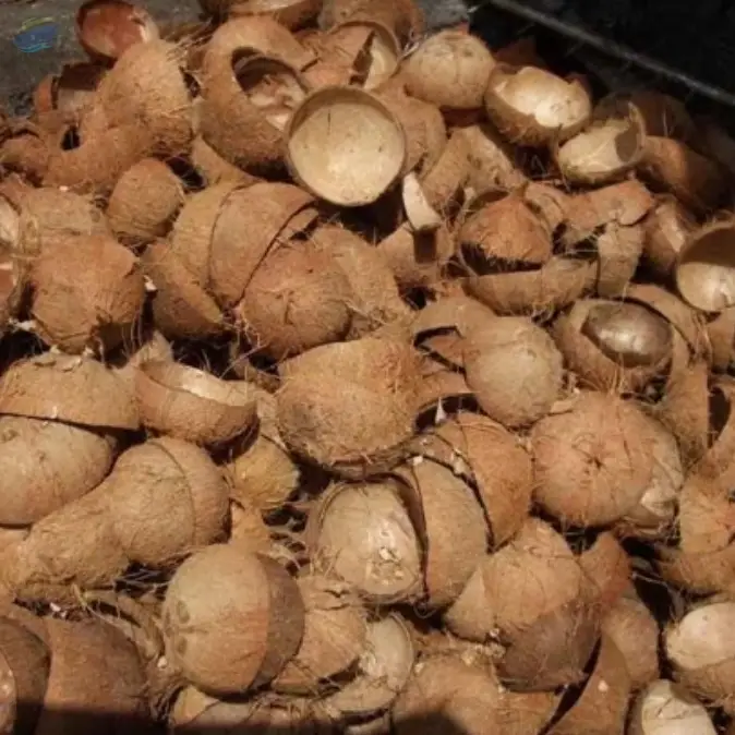 Coconut Shell