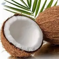 Coconut