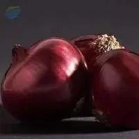 Onion