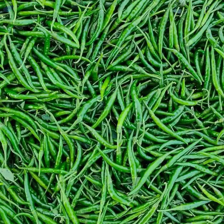 Chilli