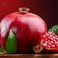 Pomegranate