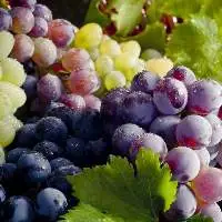 Grapes