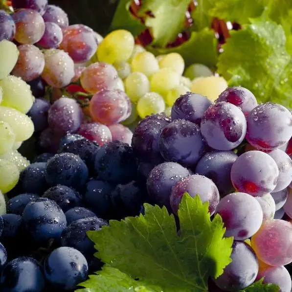 Grapes