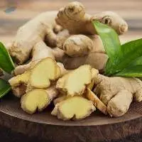 Ginger