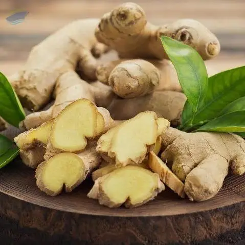 Ginger
