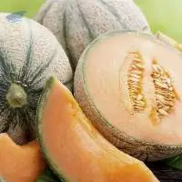Muskmelon