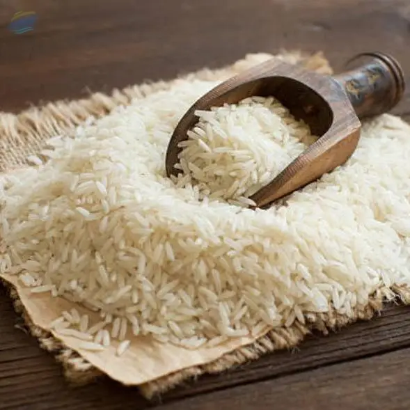 Rice