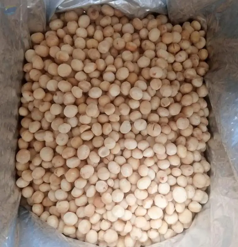 Macadamia Nuts available