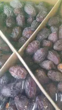 Mejdool Dates  