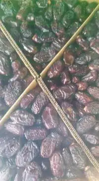 Safawi Dates Available In Uae