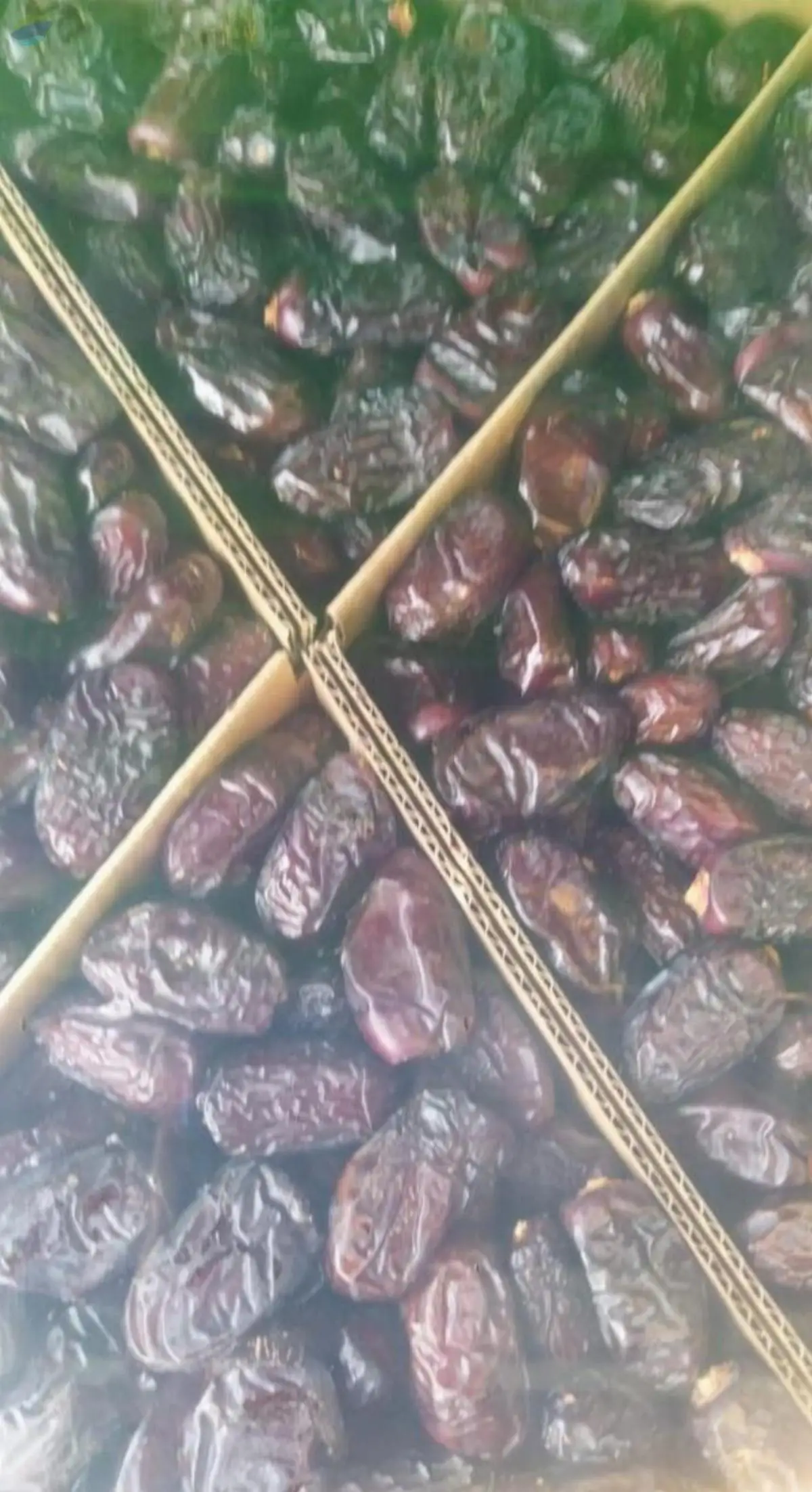 Safawi Dates Available In Uae