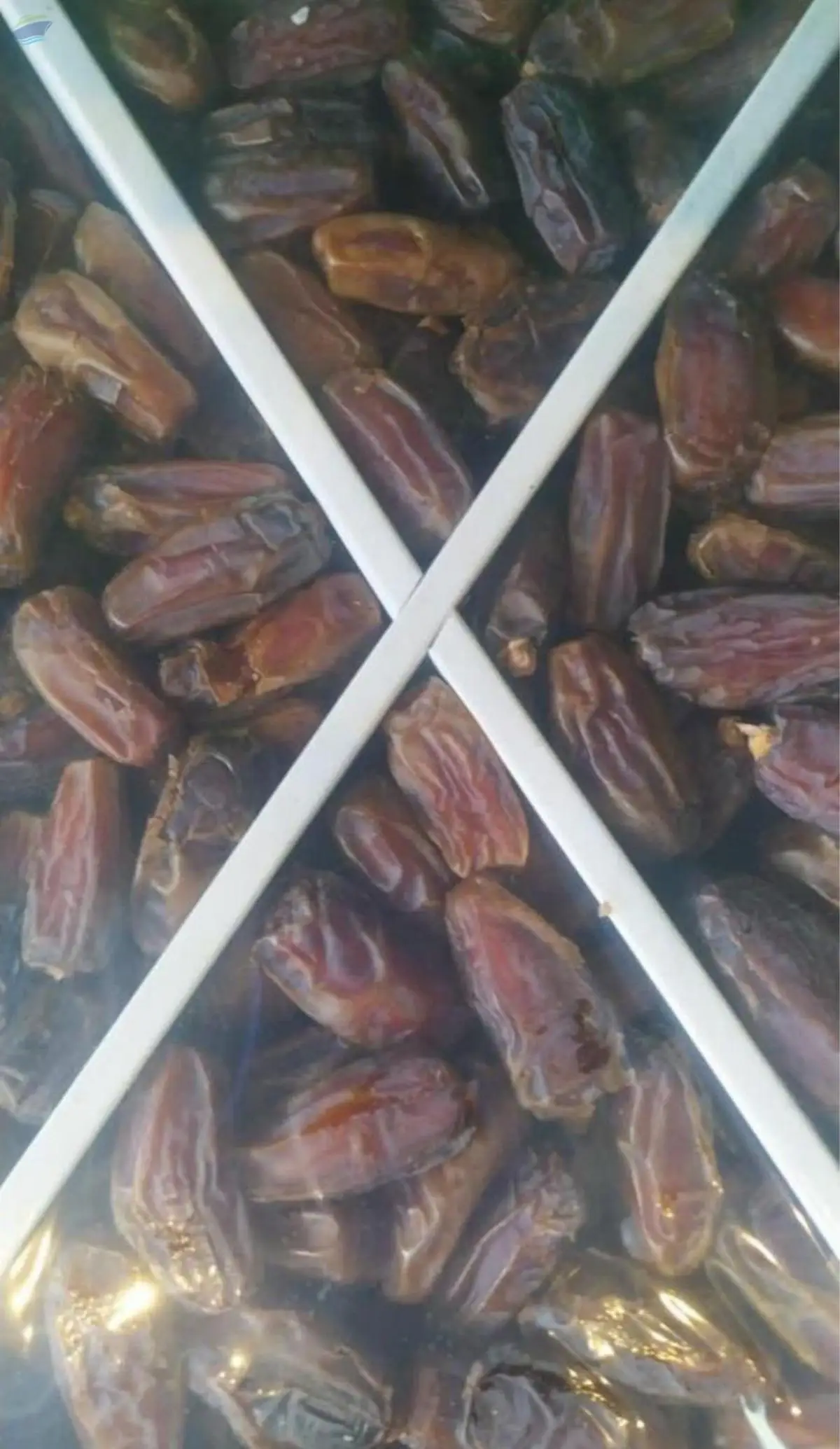 Mashrooque Dates Available In Uae