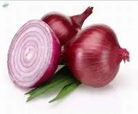 Fresh Onion