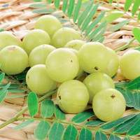 Amla