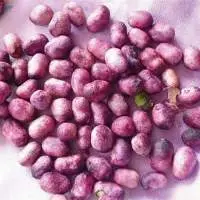 Jamun Seeds