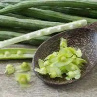 Moringa Seeds