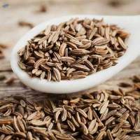 Cumin Seeds