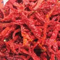 Byadgi Chilli