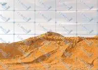 Egyptian Rock Phosphate (ERP)