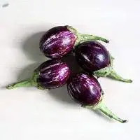 Brinjal