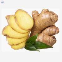 Ginger