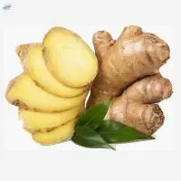 Ginger
