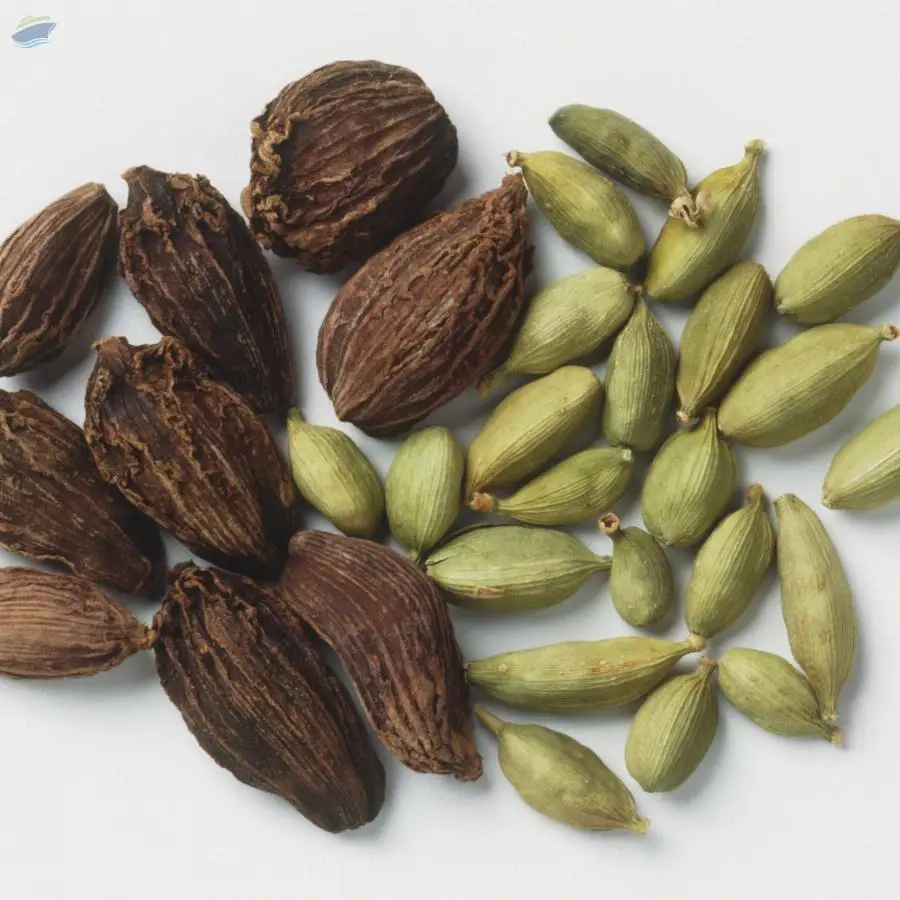 Cardamom